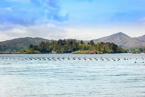 glengarriff castle til salg i irland