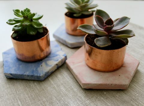 Kobberbeton Marmor Sukkulent Planter, Notonthehighstreet.com