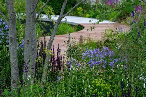 tom simpson får guld til kræftforskning uk legacy garden på rhs hampton court 2021