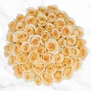 50-stilk blege gule roser
