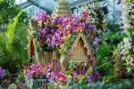 Kew Gardens Orchid Festival 2019 Datoer og billetinfo