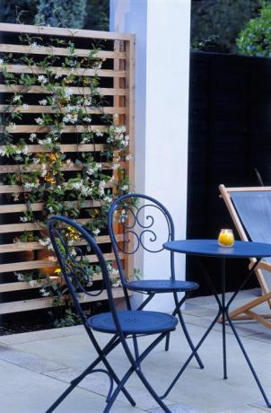 Terrasse med udemøbler med klatring Trachelospermum jasminoides (Star Jasmine)