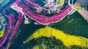 Dette drone-optagelse af Kinas Spring Blossom er fantastisk