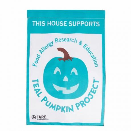 Teal Pumpkin Project Garden Flag