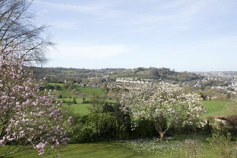 Bathwick Hill foto