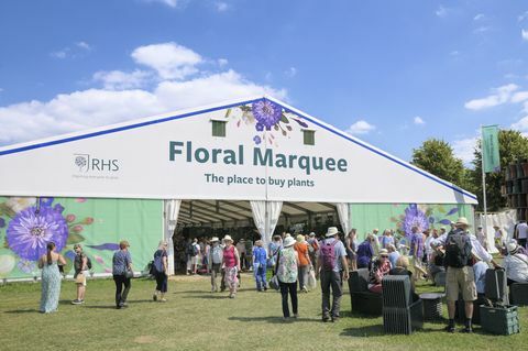 folk besøger det enorme blomstertelt på rhs hampton court palace garden festival tidligere hampton court blomsterudstilling