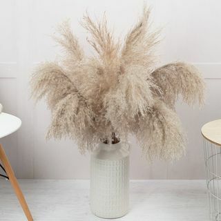 Naturlig Pampas -buket