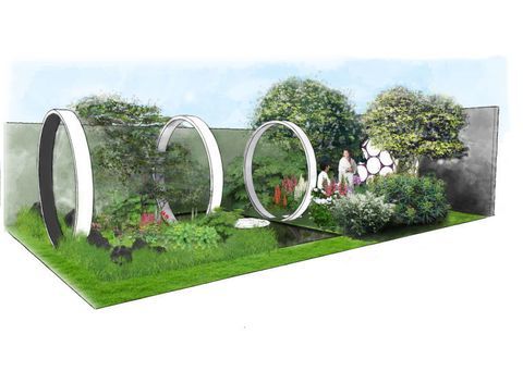 RHS Chelsea Flower Show-haver - se først på udstillinger