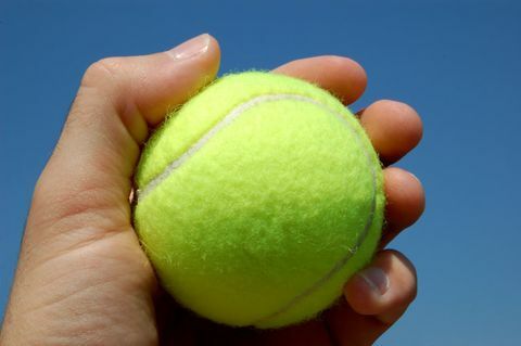 Tennisboldfly