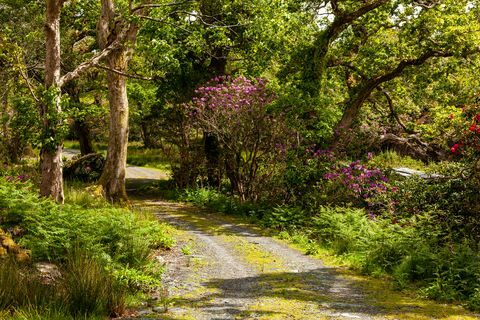 glengarriff castle til salg i irland