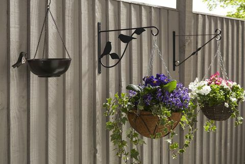 Poundland: Charlie Dimmock Hanging Flower Baskets