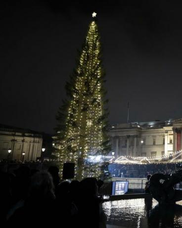 Trafalgar Square juletræ tændt