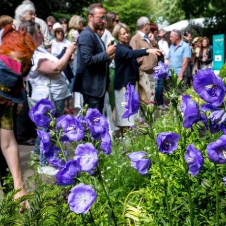 skarer af besøgende ser havedesign på Rhs Chelsea Flower Show åbner i London, England den 22. maj 2019 foto af Dominika Zarzyckanurphoto