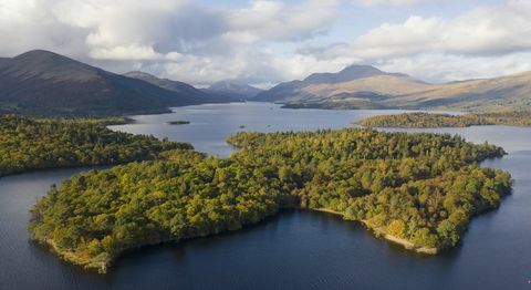 en ø på omkring 103 hektar beliggende ud for den vestlige bred af den sydlige loch lomond er til salg