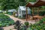 RHS Hampton: Sådan dyrkes din egen No Dig Allotment Garden