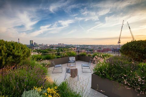 Society of Garden Designers Award - Emily Erlam - Vinderen af ​​Roof Garden Award - SGD Awards 2017. FOTO RICHARD BLOOM 