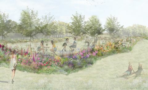 rose tea garden, rhs feature garden, designet af pollyanna wilkinson, rhs hampton court palace garden festival 2022