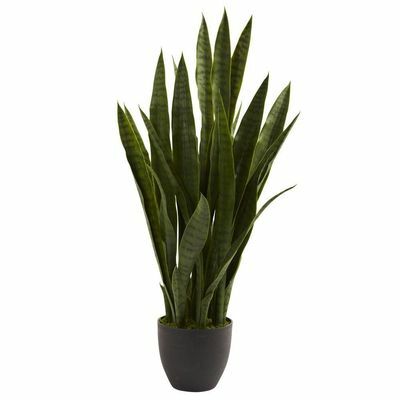 Kunstig Sansevieria med sort planter