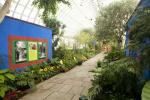 Frida Kahlo's Garden