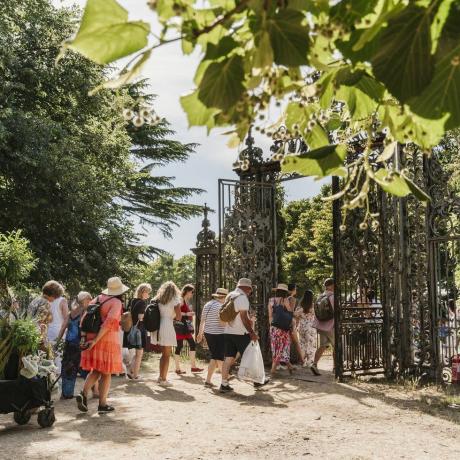 besøgende med planteshopping på rhs hampton court palace garden festival 2022is