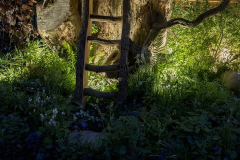 Chelsea Flower Show - Kate Middleton's Back to Nature Garden om aftenen, Philips belysning