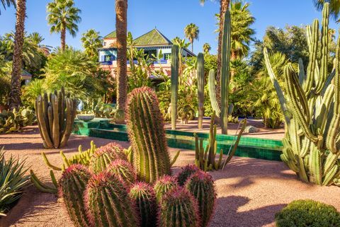 Botanisk have Jardin Majorelle i Marrakesh