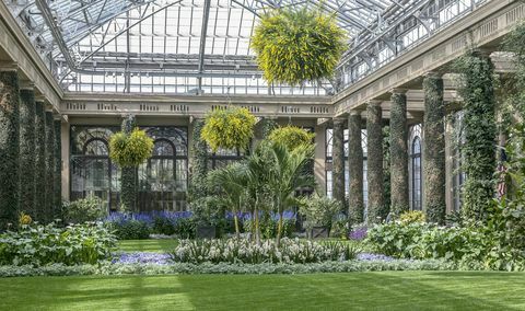 Inde i vinterhagen ved Longwood Gardens, Kennett Square, PA, USA