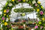 Tatton Park Flower Show 2019: Regnbue med 5.000 Dahliaer udstillet