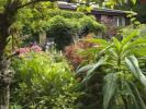 Tidligere havedesigner skaber en fantastisk 'Olympic Garden' derhjemme