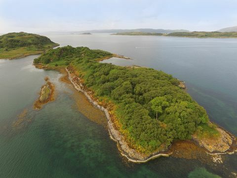 Eilean Nan Gabhar - Loch Craignish - Skotland - Galbraith 2