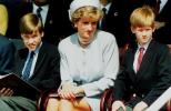 Prinsesse Diana: Tragedie eller forræderi Dokumentarfakta