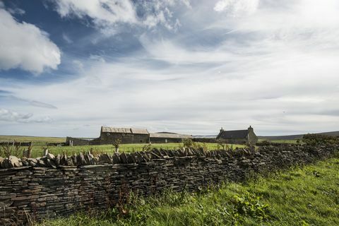 Holm of Grimbister - Skotland - Orkney - væg - Savills