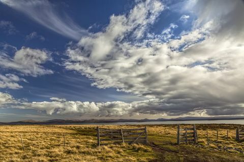 Hegn og skyer i sent på eftermiddagen lys, småsten ø, Falkland øer