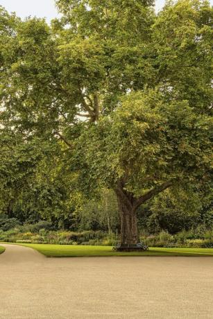 buckingham palace haver afsløret i en ny bog