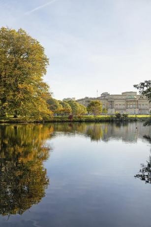 besøgende på Buckingham Palace kan picnic i de herlige haver i sommer