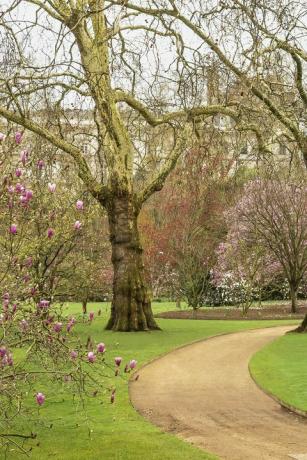 buckingham palace haver afsløret i en ny bog