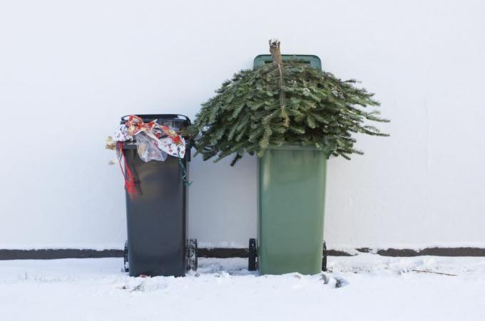 genbrug dit juletræ