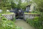 Chelsea Flower Show: Hvorfor People's Choice & Best Show Garden Winners Different