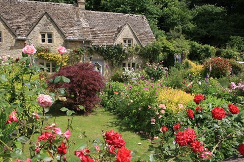 En af de bedste haver i Cibwolds i Bibury; William Morris kaldte det for den smukkeste landsby i landet;