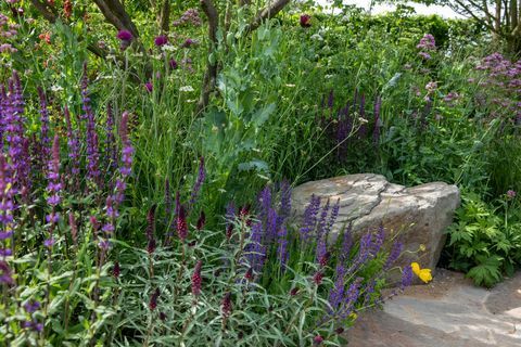 the place2be, der sikrer morgendagens have designet af jamie butterworth rhs chelsea flower show 2022