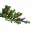 Farveændrende juletræer skifter mellem hvide eller farvede lys