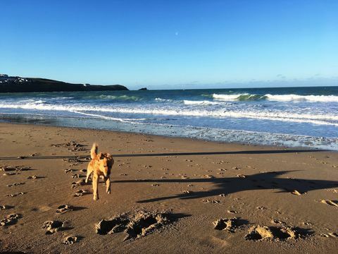 luftfoto af newquay i cornwall, uk