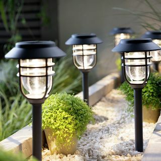 Caged Stake Solar Lights, sæt med 6