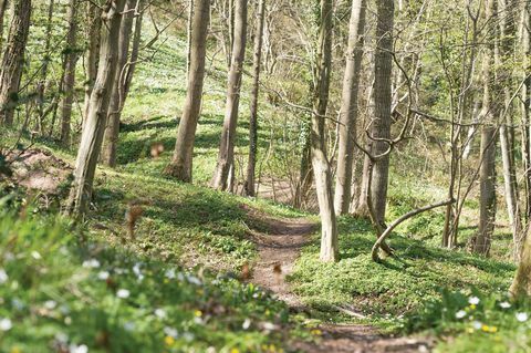 sommerhus til salg i North Yorkshire