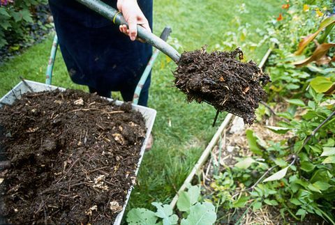 Person, der flytter mulch fra trillebør med stigegaffel