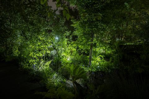 Chelsea Flower Show - Kate Middleton's Back to Nature Garden om aftenen, Philips belysning