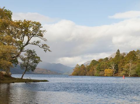 en ø på omkring 103 hektar beliggende ud for den vestlige bred af den sydlige loch lomond er til salg