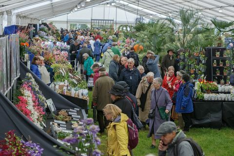 Besøgende i Floral Marquee på RHS Malvern Spring Festival 2019.